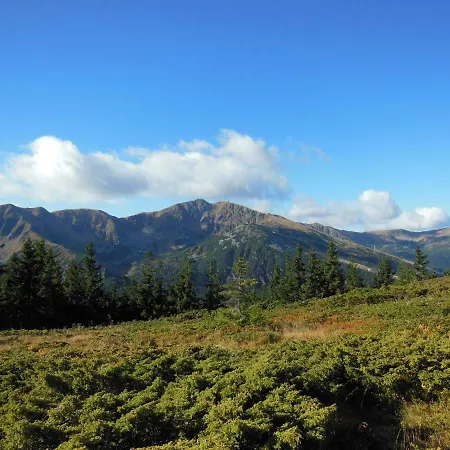 Tatralandia-liptov 木屋 *